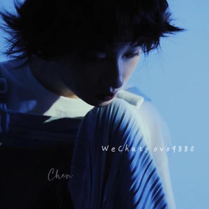 A片在线观看视频大全
